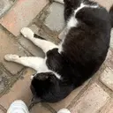 TRIOS yukinoのプロフィール画像