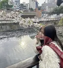 あいしぇ Ash川口のプロフィール画像