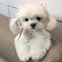 N yuukiのプロフィール画像