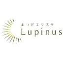 Lupinus 国立店のプロフィール画像