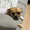 プラスアイ新宿西口 駅前店🍯HIROのプロフィール画像