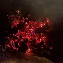 金谷 一平のプロフィール画像