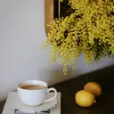 Merye＊ Masumi🌼のプロフィール画像