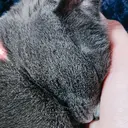 佐々木 夏子のプロフィール画像