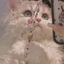 🎀 𝓡𝓪𝓶のプロフィール画像