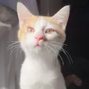 nail salon azuのプロフィール画像