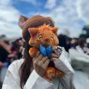 のらねこ🐈⬛ Maikaのプロフィール画像