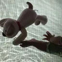 どんぐりエステルーム 🍄みゆきのプロフィール画像