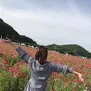 lovit ラビットのプロフィール画像