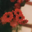 立川 amitie  ほなみのプロフィール画像