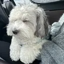 tae .のプロフィール画像