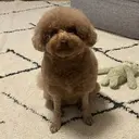 石野 優杏のプロフィール画像