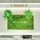 新百合ヶ丘EST Minoriのプロフィール画像