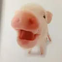 Plaisir ヤマシタのプロフィール画像