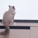 金口 綾華のプロフィール画像