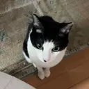 Imi Nail 🫧🎀hirokaのプロフィール画像