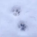 マキア 水戸赤塚店 大貫のプロフィール画像