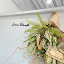 Lucia 内田のプロフィール画像