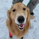 アイリスト 🍓みやむらのプロフィール画像