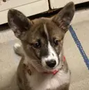 赤星 佐和のプロフィール画像