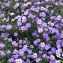 Silhouette _.Kanaのプロフィール画像