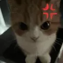 中嶋 愛華のプロフィール画像