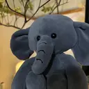 セプトアカデミー FUMIのプロフィール画像