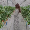 早川 明日香のプロフィール画像