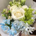 リン リンのプロフィール画像