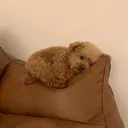 鈴木 優奈のプロフィール画像