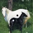 Fuka 池袋 ネイリストのプロフィール画像