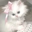 iLa / Amina🌙♡のプロフィール画像