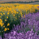 mina 鍋島店のプロフィール画像