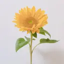 furuya emiのプロフィール画像