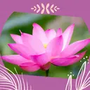 CLAIR sionのプロフィール画像