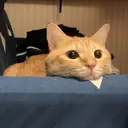 髪質改善アンジュール かほのプロフィール画像