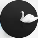 🩶韓国/ワンホン myu🩶のプロフィール画像