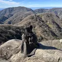 青木 娃星のプロフィール画像