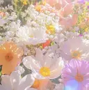 withB 池尻大橋のプロフィール画像