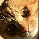 松本 耀清のプロフィール画像