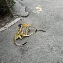 💭💠memoto 江坂💠💭のプロフィール画像