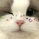 川口 絵理香のプロフィール画像