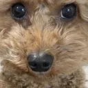 りりー ママのプロフィール画像