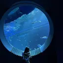 Re:ICE Yukieのプロフィール画像