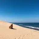 井上 珠葵のプロフィール画像