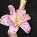 MOCA ティアラのプロフィール画像