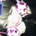 すぎうら せいなのプロフィール画像