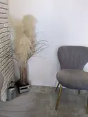 milla nemotoのプロフィール画像