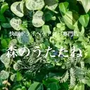 打越 秀美のプロフィール画像