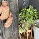 長谷川 みゆうのプロフィール画像